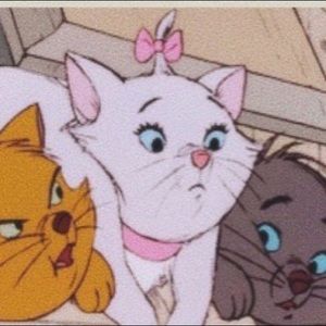 Meet your Posher, Lacey